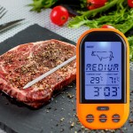 Digital insertion cooking / kitchen thermometer and for barbeque, orange color, model TG02